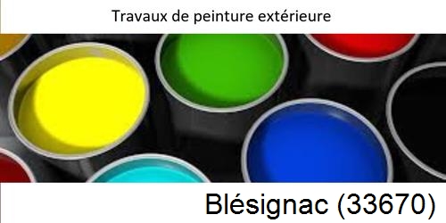 Peintre Blésignac-33670