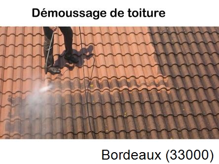 Rénovation démoussage et nettoyage en gironde Bordeaux-33000