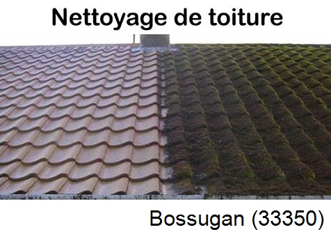 Travaux démoussage toiture Bossugan-33350