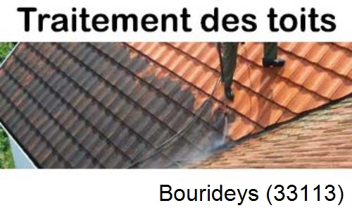 Entreprise de peinture toiture Bourideys-33113