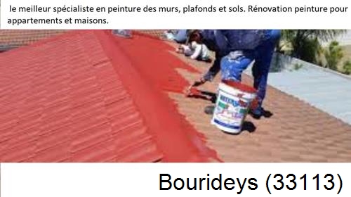 Artisan Peintre Bourideys-33113