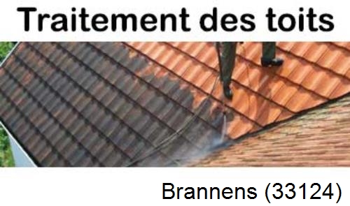 Entreprise de peinture toiture Brannens-33124