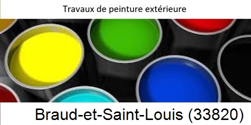 Peintre Braud-et-Saint-Louis-33820