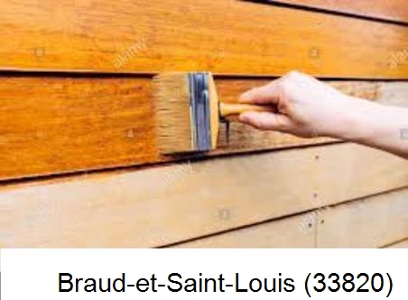 Peintre à Braud-et-Saint-Louis-33820