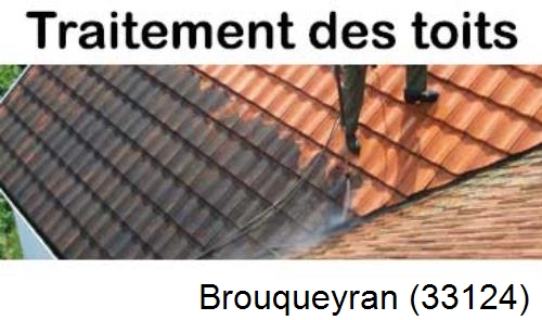 Entreprise de peinture toiture Brouqueyran-33124