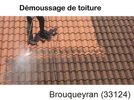 Rénovation démoussage et nettoyage en gironde Brouqueyran-33124