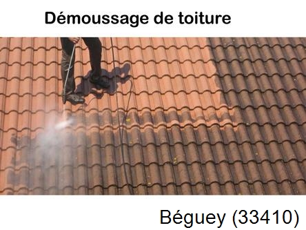 Rénovation démoussage et nettoyage en gironde Béguey-33410