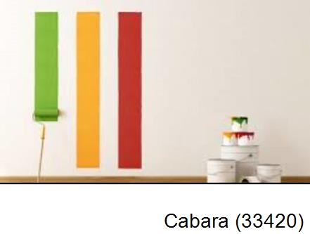 Peintre en rénovation Cabara-33420