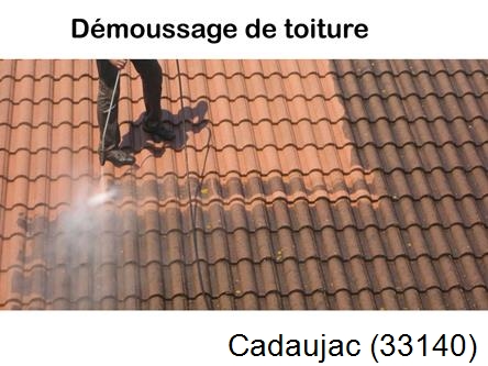 Rénovation démoussage et nettoyage en gironde Cadaujac-33140