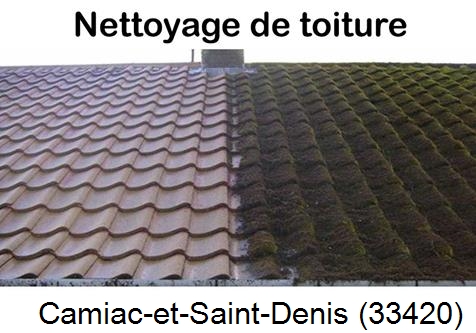 Travaux démoussage toiture Camiac-et-Saint-Denis-33420