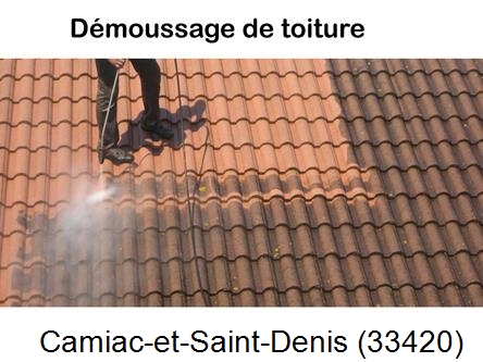 Rénovation démoussage et nettoyage en gironde Camiac-et-Saint-Denis-33420