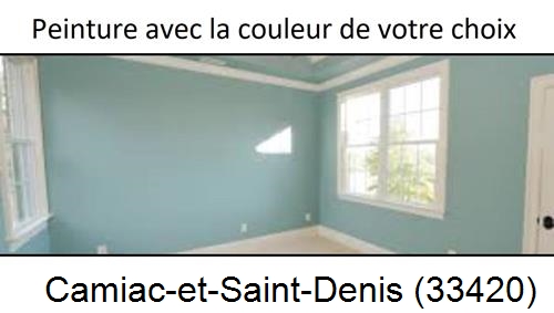 Peintre à Camiac-et-Saint-Denis-33420
