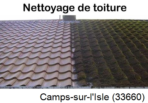 Travaux démoussage toiture Camps-sur-l'Isle-33660