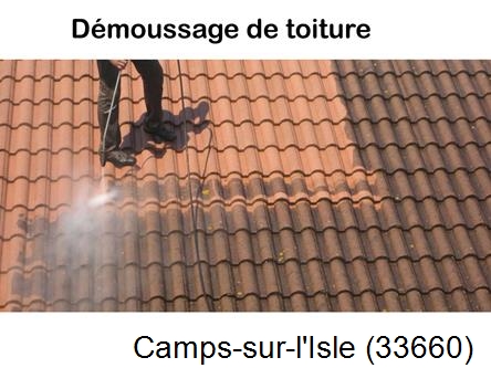 Rénovation démoussage et nettoyage en gironde Camps-sur-l'Isle-33660