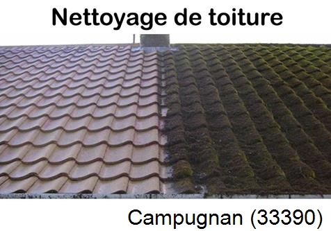 Travaux démoussage toiture Campugnan-33390