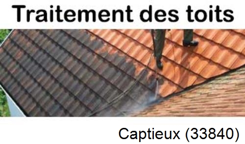 Entreprise de peinture toiture Captieux-33840
