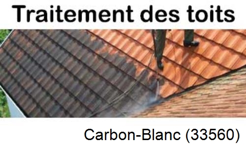 Entreprise de peinture toiture Carbon-Blanc-33560
