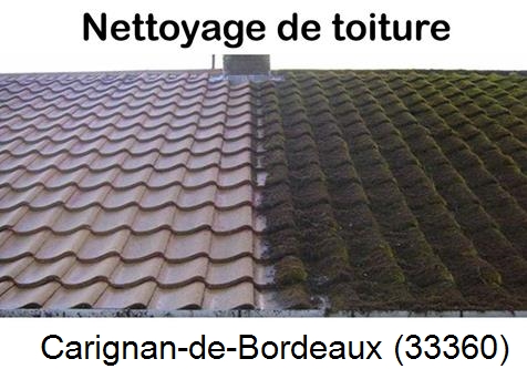 Travaux démoussage toiture Carignan-de-Bordeaux-33360