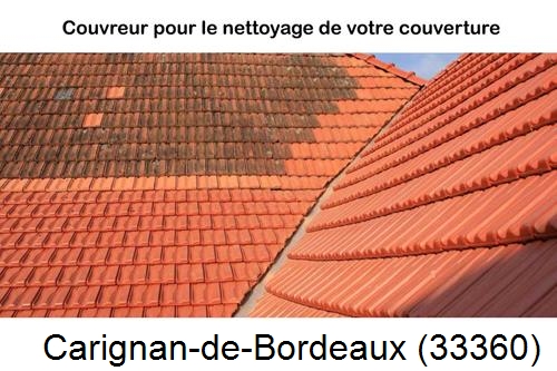 Avant après démoussage Carignan-de-Bordeaux-33360
