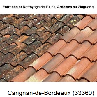 démoussage Carignan-de-Bordeaux-33360