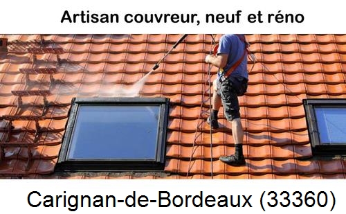 Anti-mousse sur toiture Carignan-de-Bordeaux-33360