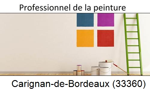 Entreprise de peinture en Gironde Carignan-de-Bordeaux-33360