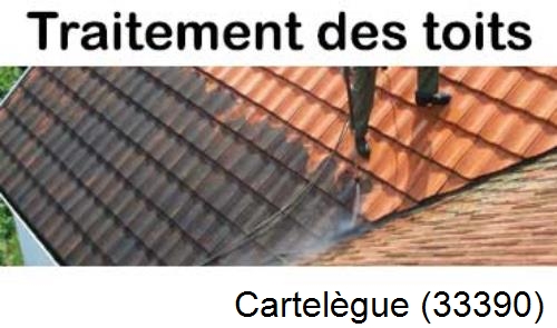 Entreprise de peinture toiture Cartelègue-33390
