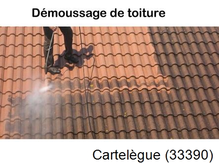 Rénovation démoussage et nettoyage en gironde Cartelègue-33390