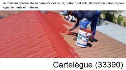 Artisan Peintre Cartelègue-33390