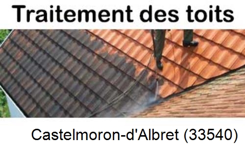 Entreprise de peinture toiture Castelmoron-d'Albret-33540