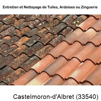 démoussage Castelmoron-d'Albret-33540