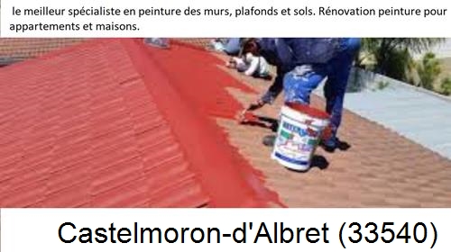 Artisan Peintre Castelmoron-d'Albret-33540