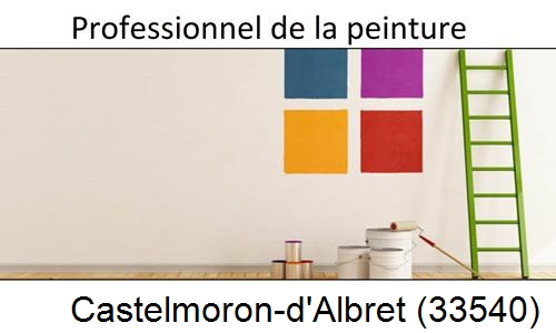Entreprise de peinture en Gironde Castelmoron-d'Albret-33540