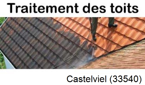Entreprise de peinture toiture Castelviel-33540