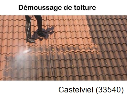 Rénovation démoussage et nettoyage en gironde Castelviel-33540