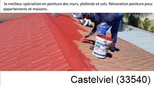 Artisan Peintre Castelviel-33540