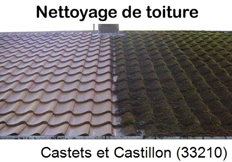 Travaux démoussage toiture Castets et Castillon-33210