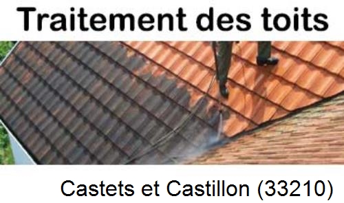 Entreprise de peinture toiture Castets et Castillon-33210