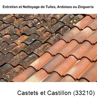 démoussage Castets et Castillon-33210