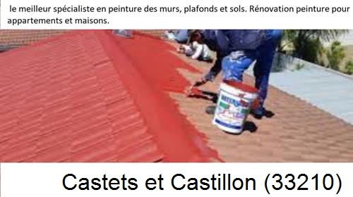 Artisan Peintre Castets et Castillon-33210