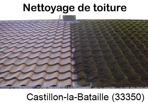 Travaux démoussage toiture Castillon-la-Bataille-33350