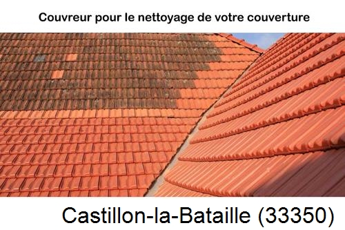 Avant après démoussage Castillon-la-Bataille-33350