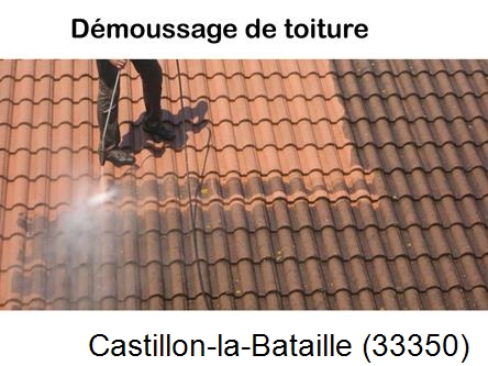 Rénovation démoussage et nettoyage en gironde Castillon-la-Bataille-33350