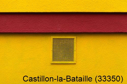 Peintre 33 Castillon-la-Bataille-33350