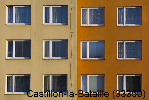 Artisan peintre Castillon-la-Bataille-33350