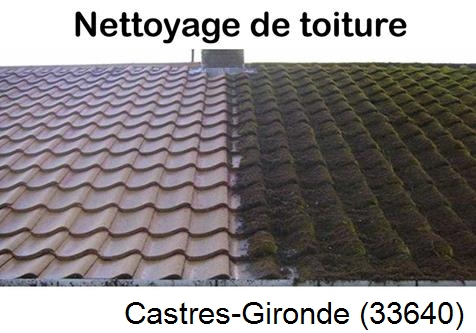 Travaux démoussage toiture Castres-Gironde-33640