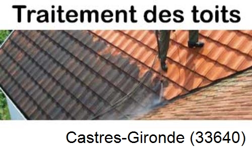 Entreprise de peinture toiture Castres-Gironde-33640