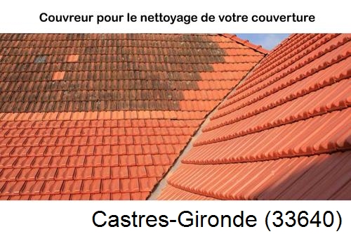 Avant après démoussage Castres-Gironde-33640