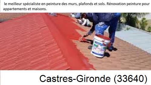 Artisan Peintre Castres-Gironde-33640