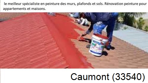 Artisan Peintre Caumont-33540
